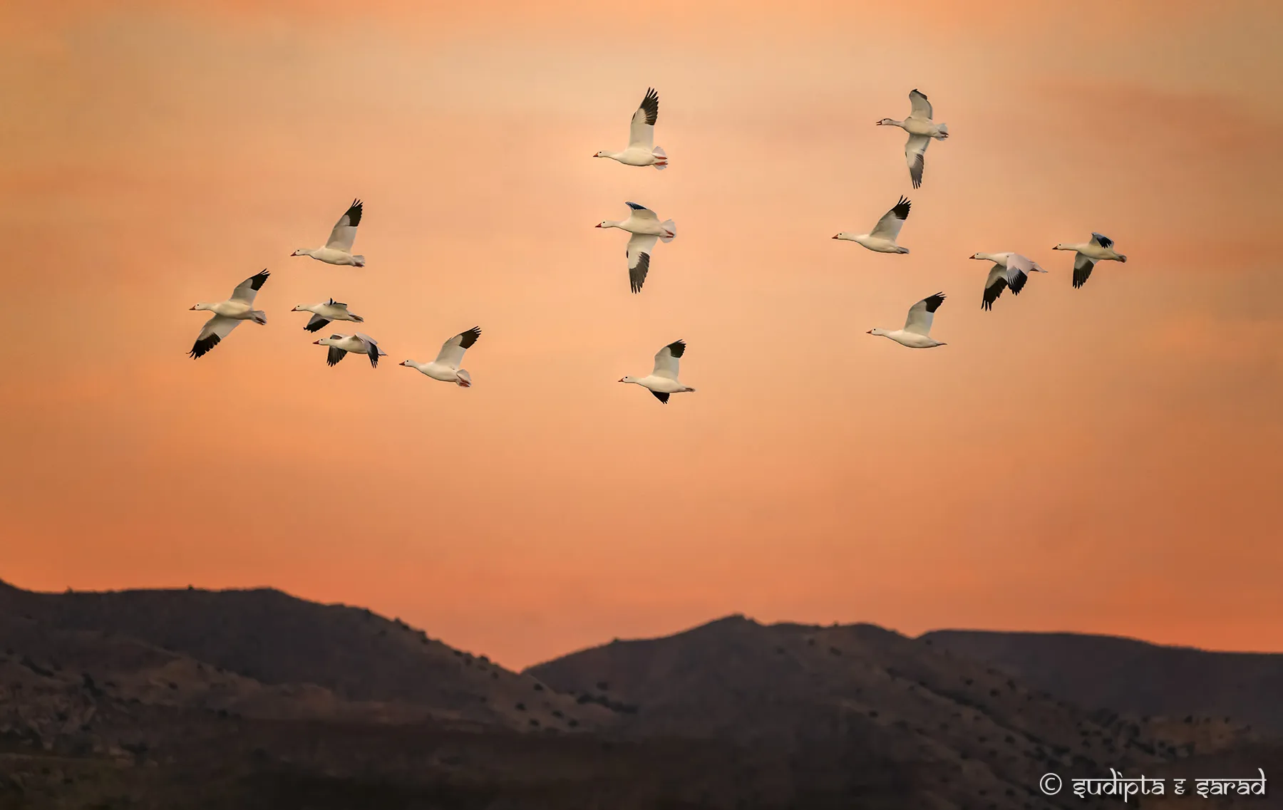 Fine-art photograph titled Homebound